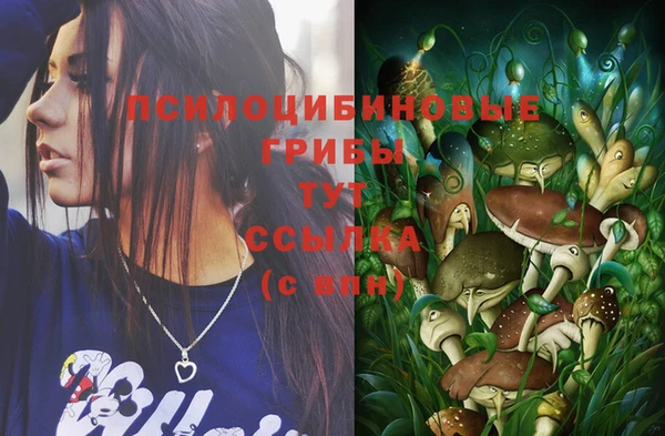 хмурый Бронницы