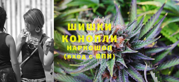 хмурый Бронницы