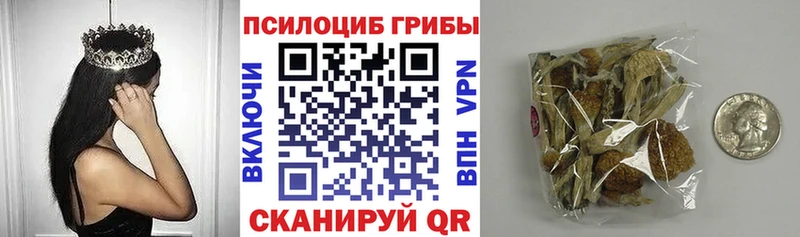 Галлюциногенные грибы Cubensis  Прокопьевск 